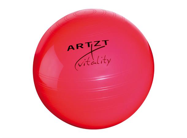 Fitnessball Artzt Vitality® 55cm
